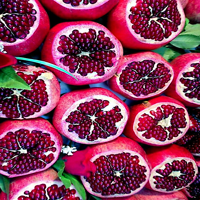 20 DWARF Pomegranate Tree Seeds Punica granatum Nana Garden Fruit House Plant