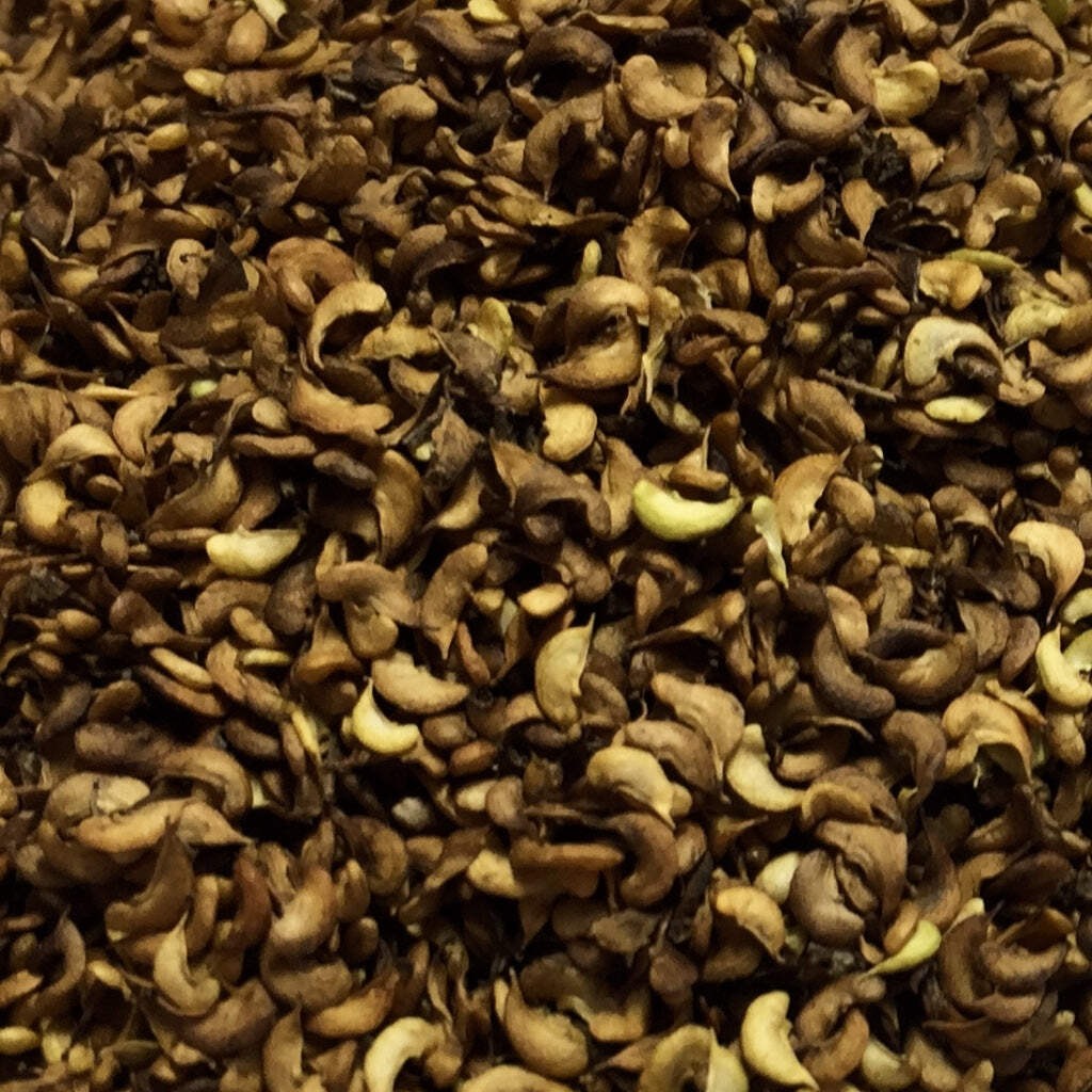 Meadowsweet Seeds (Filipendula ulmaria) ~Traditional Herb Native Pollinator