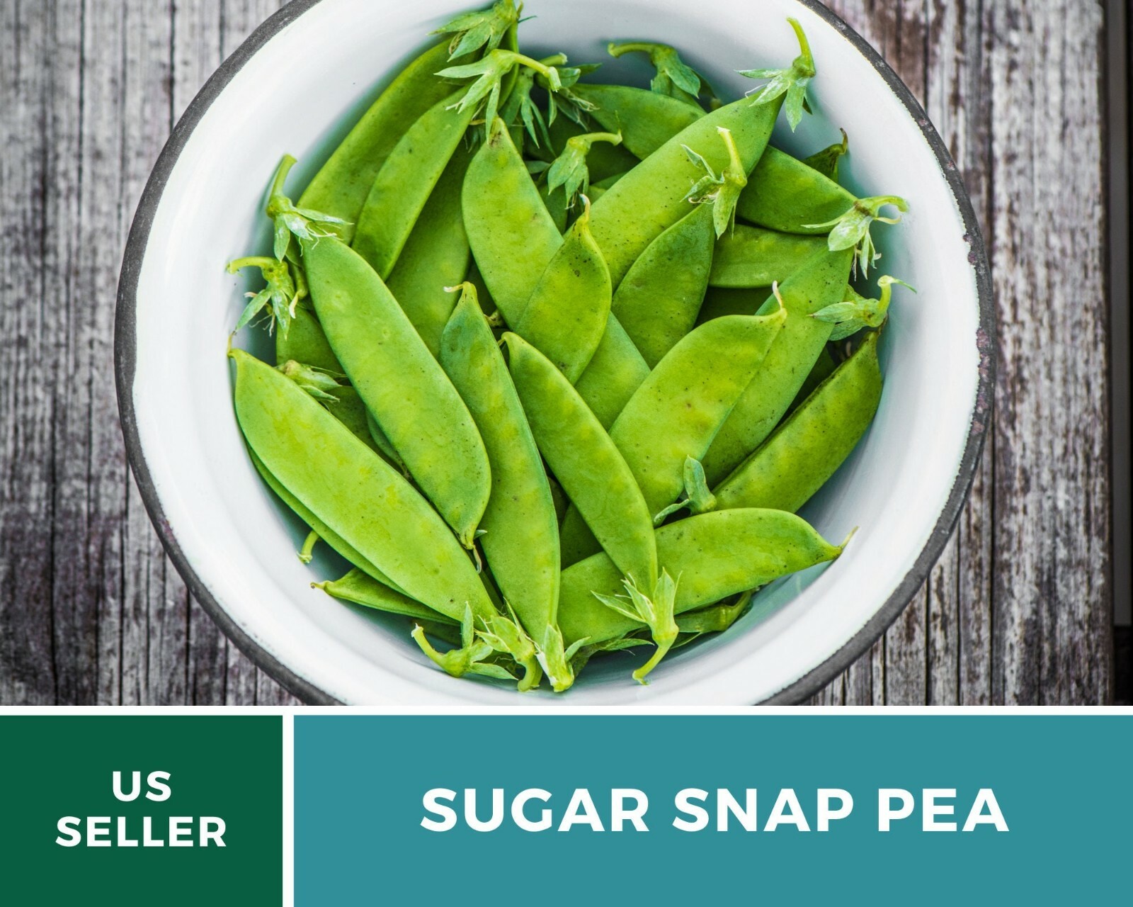 Peas, Sugar Snap – Heirloom Seeds – Sow Spring for midsummer or Summer for Fall