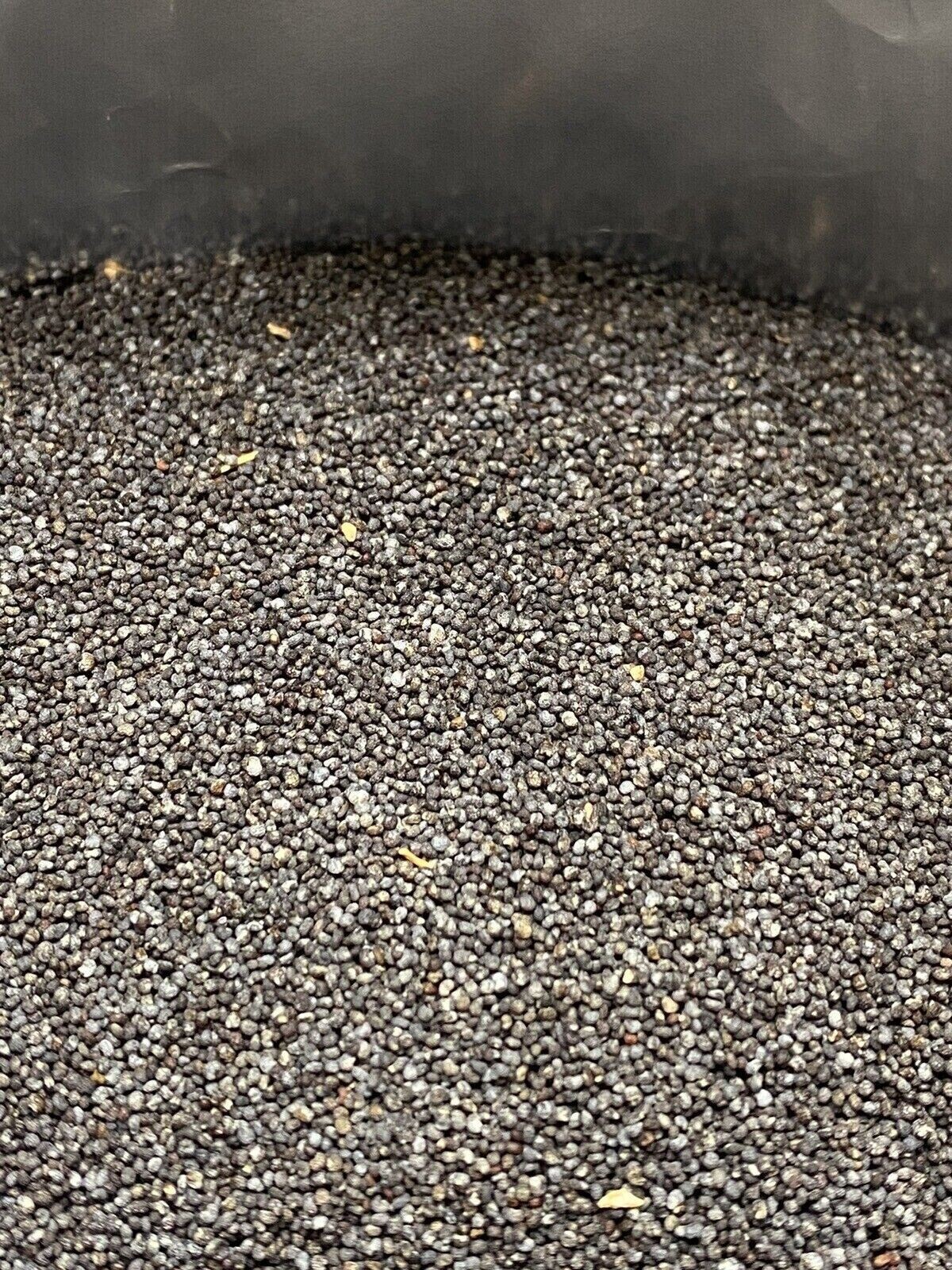 Poppy Seeds 3lb UK Papaver Som High Quality SHIPS FREE 2024 HARVEST