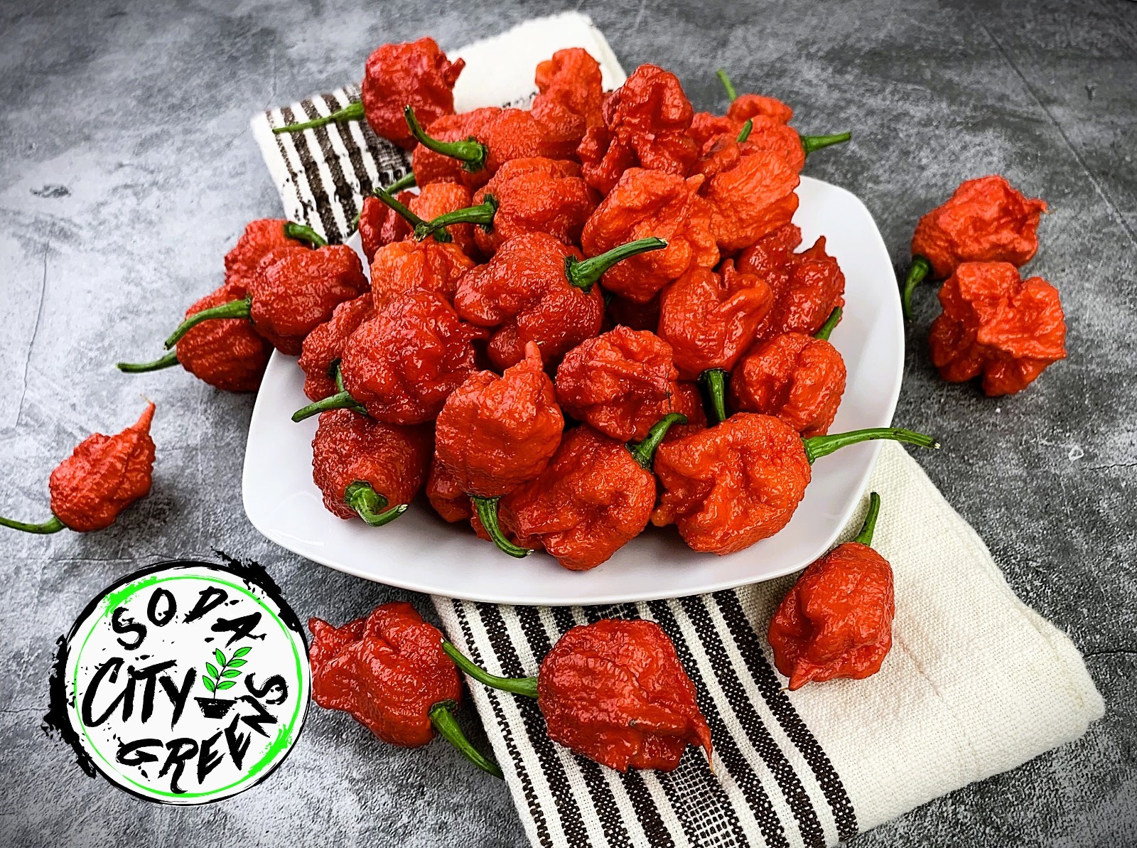RB003 Pepper Seeds
