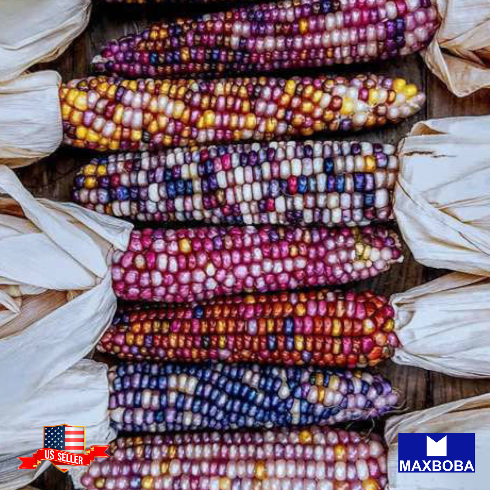 Corn Fresh Seeds – Popcorn Glass Gem Colorful Rainbow Kernels Non-GMO Vegetable