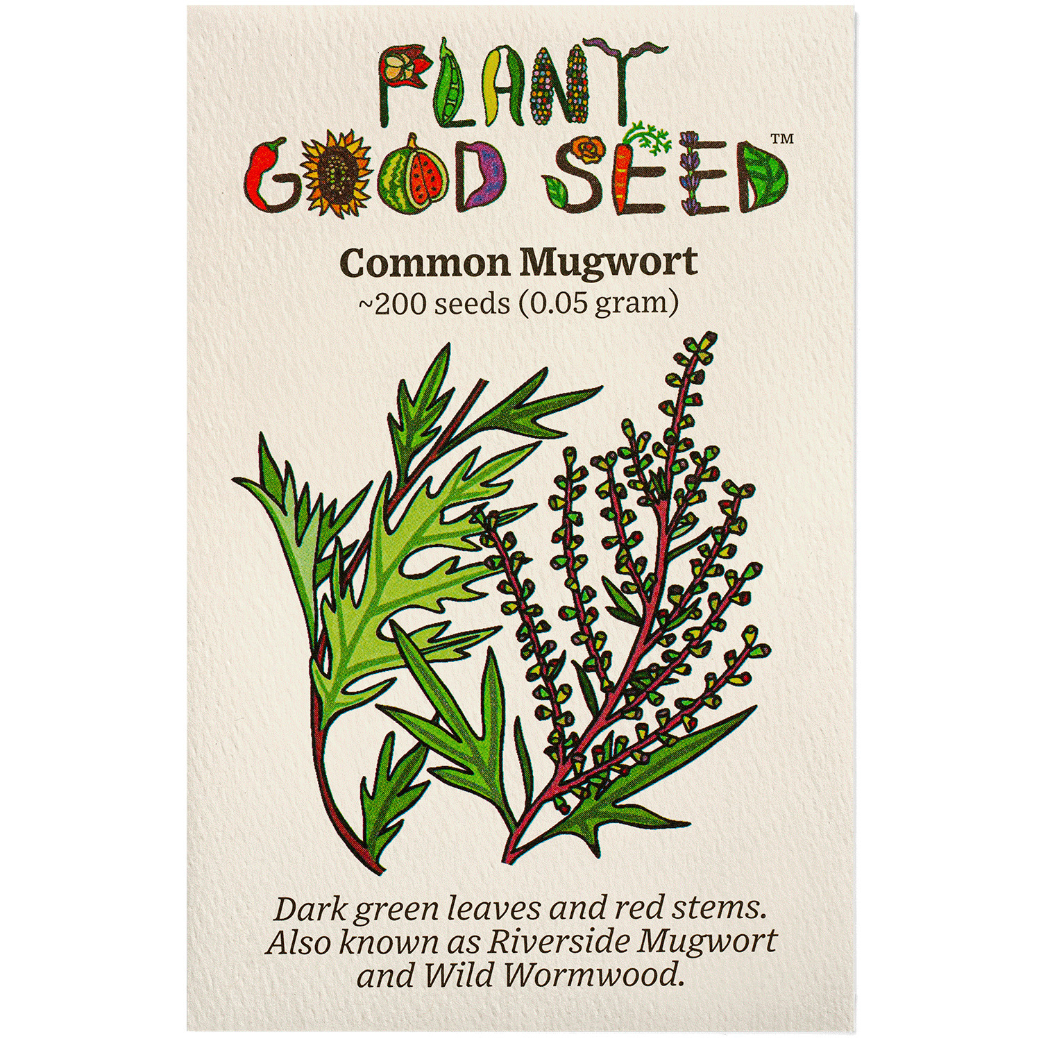 Common Mugwort Seeds