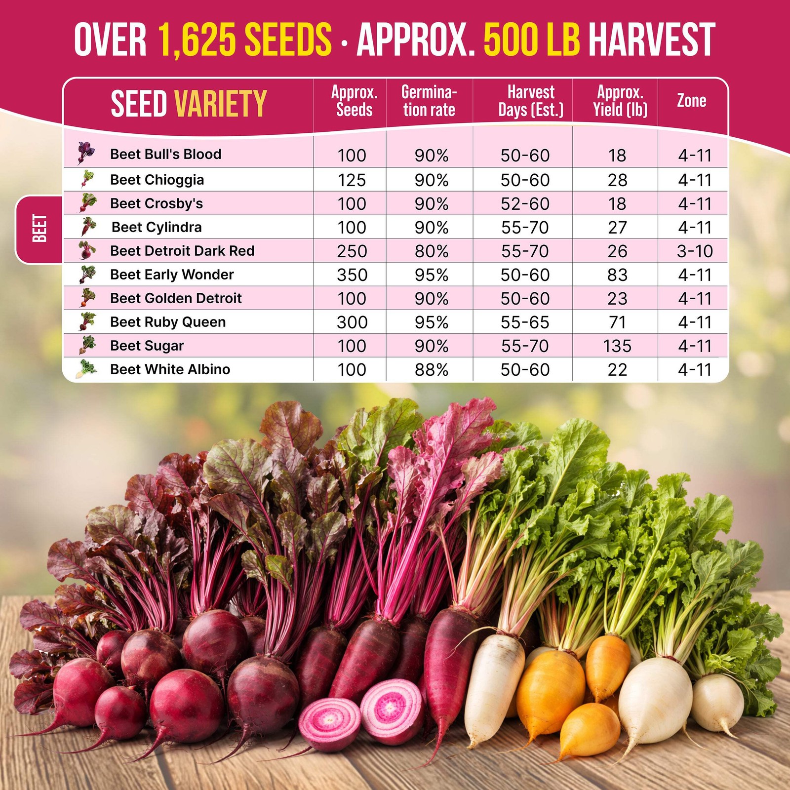 10 Rare Beet Seeds Variety Pack