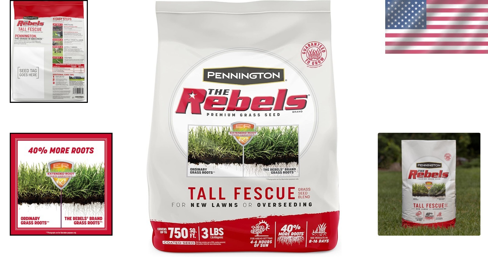 The Rebels 3 lb Tall Fescue Grass Seed – Perfect for All Sunlight Conditions