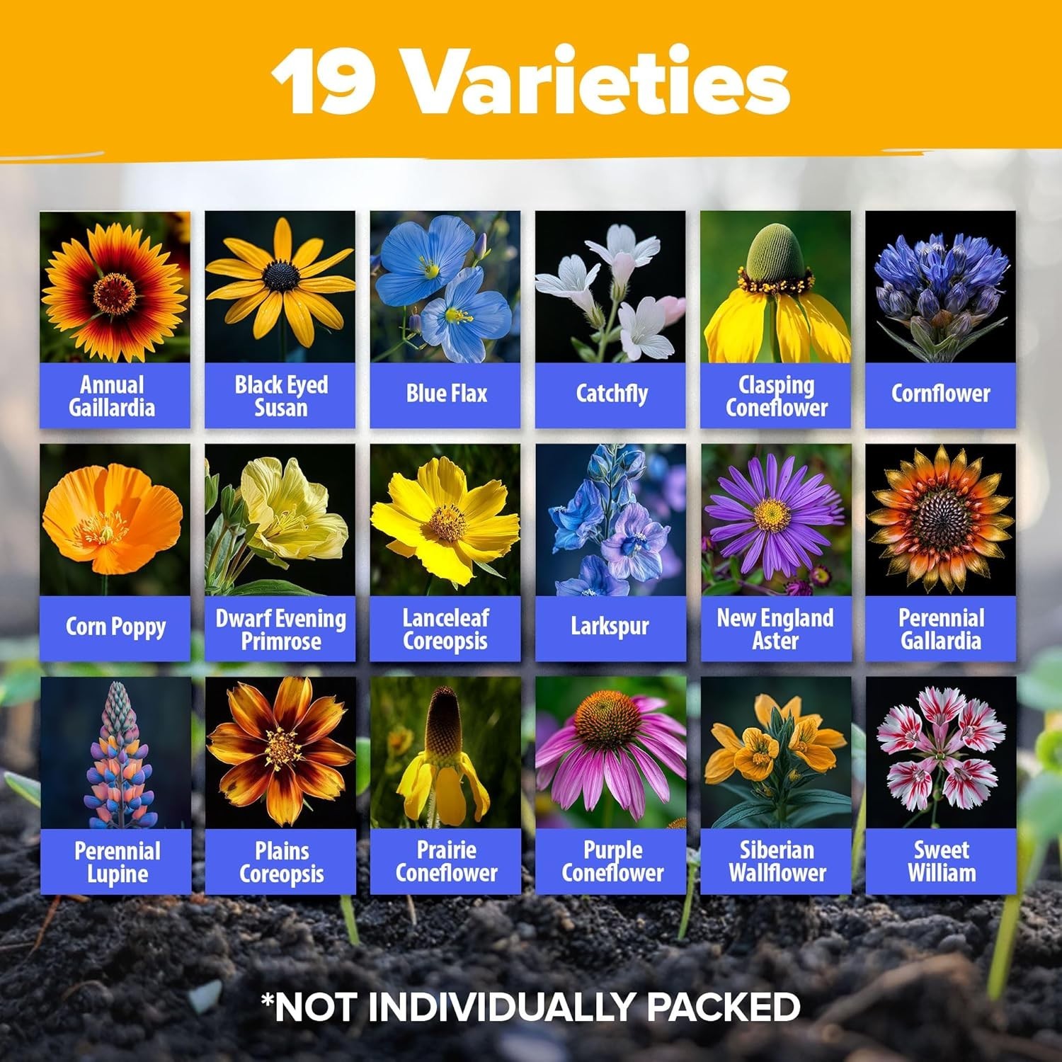 Attracting Pollinators: 65,000+ Heirloom Wildflower Seeds for Any Garden – 4 oz