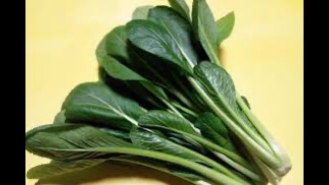 2000+ KOMATSUNA Japanese Mustard spinach seeds こまつな 小松菜 heirloom