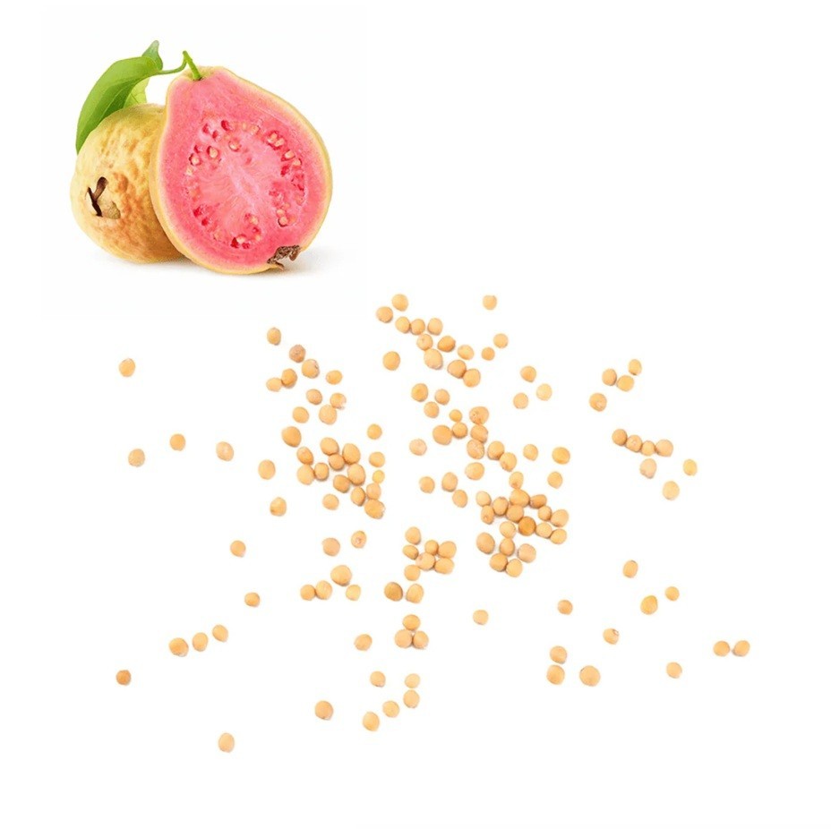Kilo White Guava Seeds | Psidium Guajava | Organic Non-GMO | Sweet Delicious