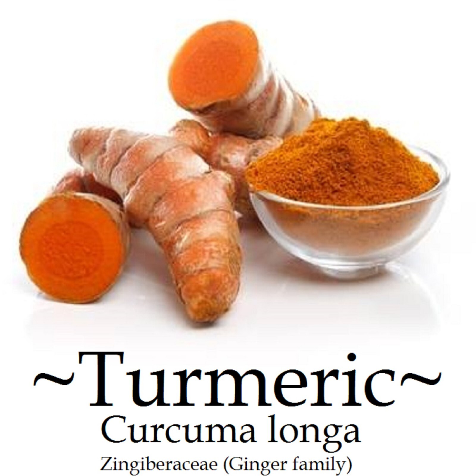 3 Fresh ~TURMERIC~ SPICE Turmeric Roots Curcuma Longa Ready To Plant or eat