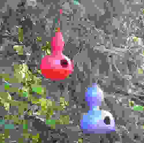 Birdhouse Bottle Gourd, Lagenaria siceraria, Seeds