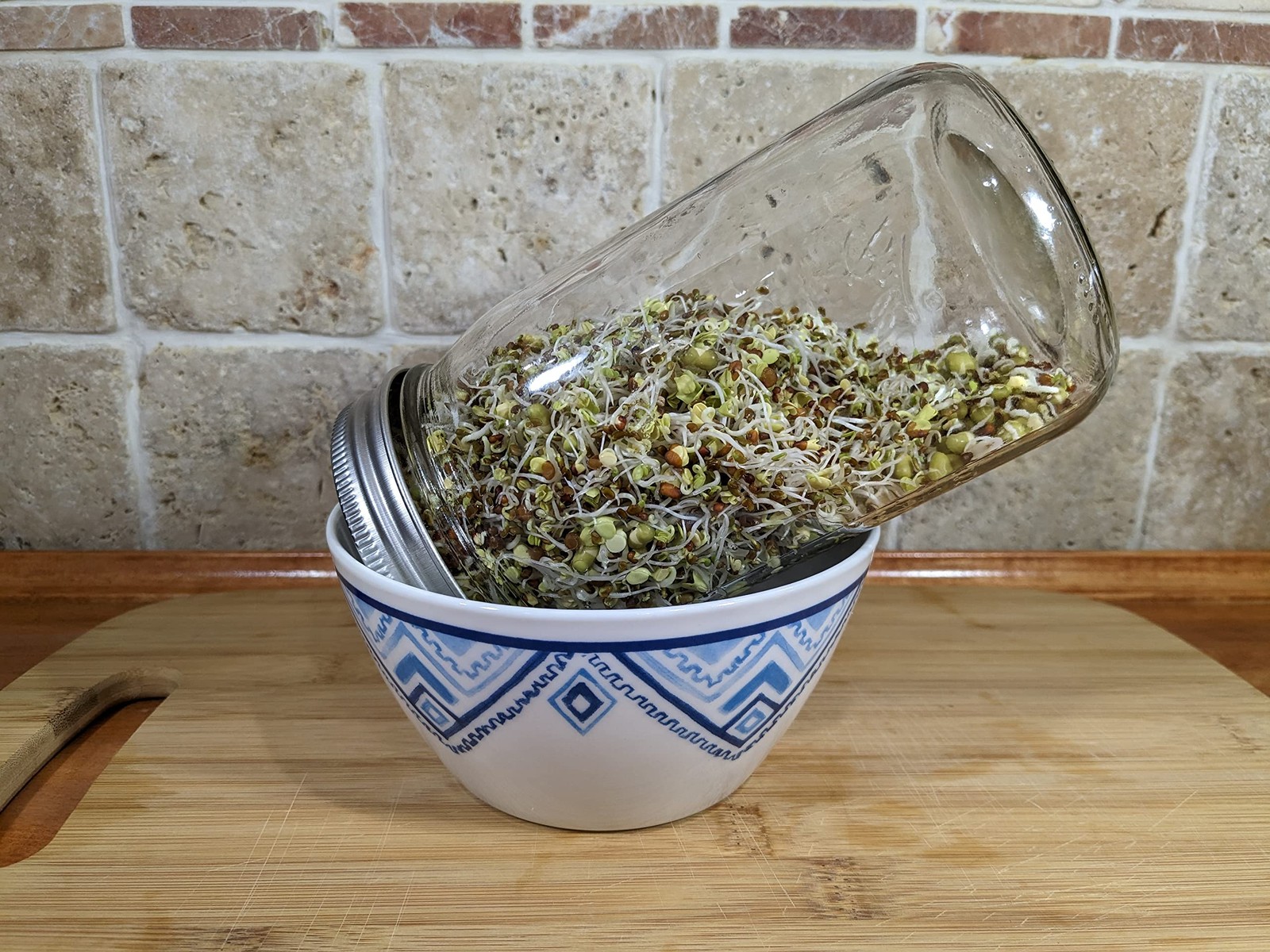 Sprouting Seeds Variety Pack Broccoli, Alfalfa, Radish, Mung Beans & Salad Mix