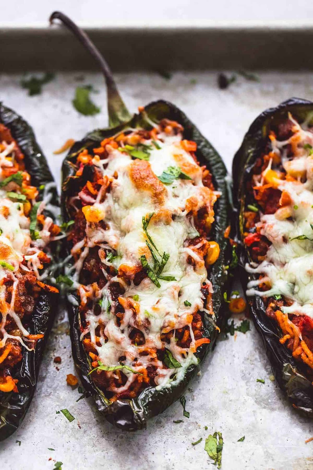 Poblano Pepper Seeds (Ancho Chile) | Mexican Green Chili Vegetable Seed 2024