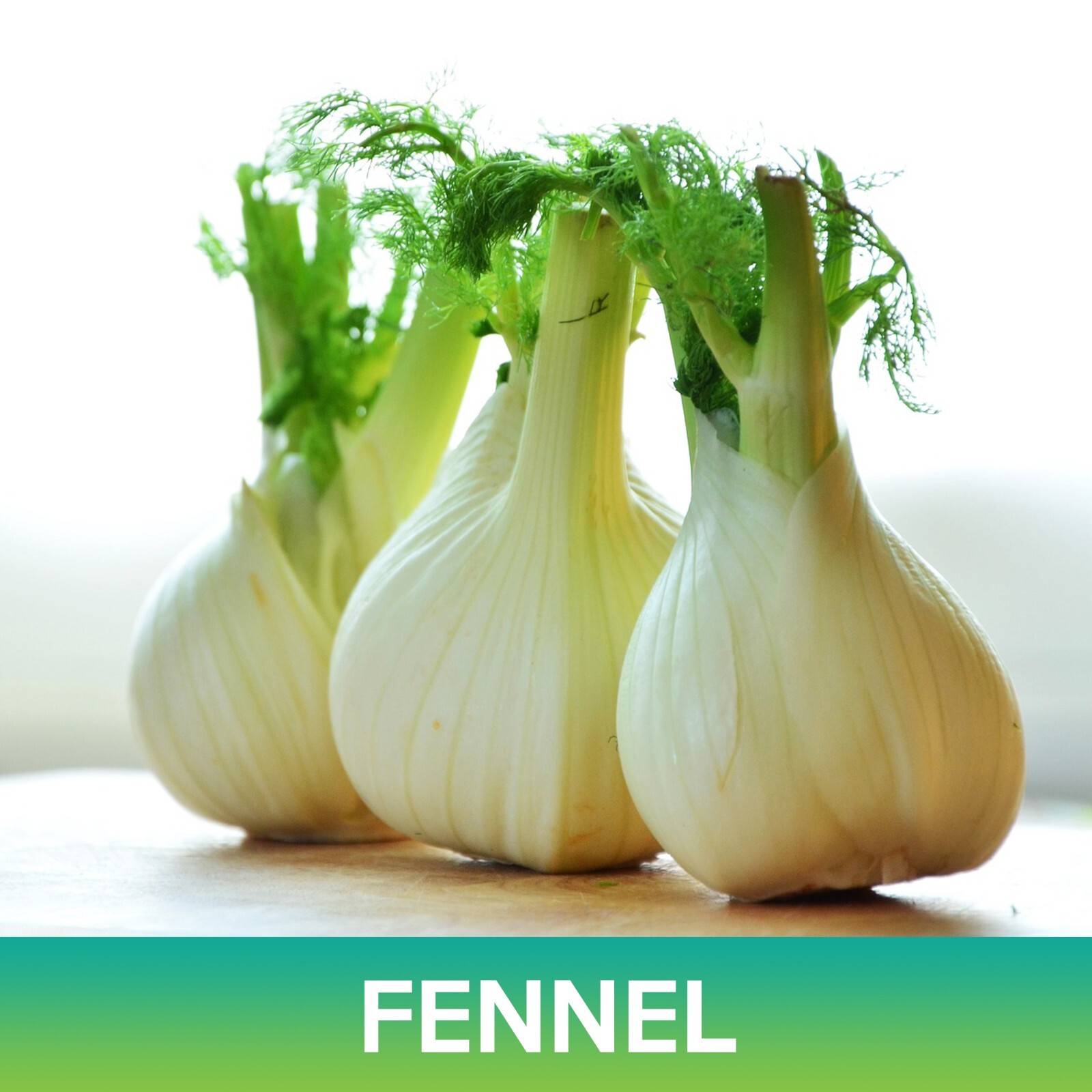 Fennel Seeds, Foeniculum vulgare