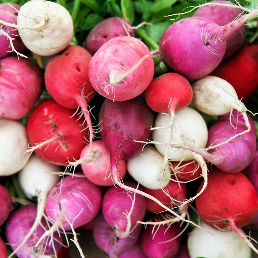 Easter Egg Mix Radish Seeds | Rainbow Radishes USA Garden Vegetable Seed 2024
