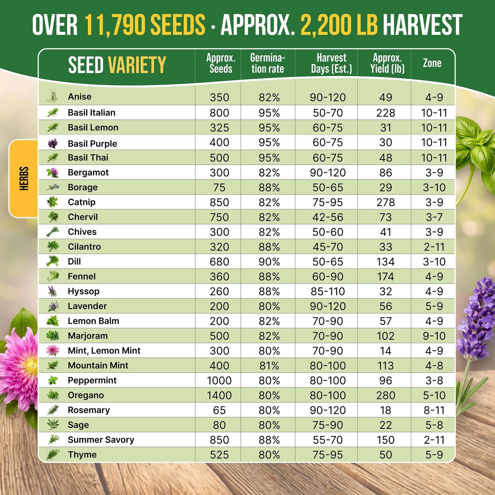 25 Most Popular Herb Seeds Variety Pack 11,700 NonGMO Heirloom Seeds for Pla…