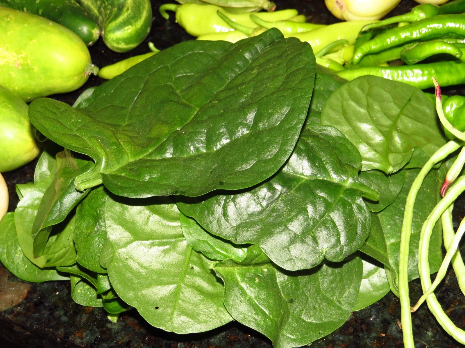 25+Green Malabar Spinach seeds(Asian spinach, MongToi Mu er cai ,Vine Spinach).