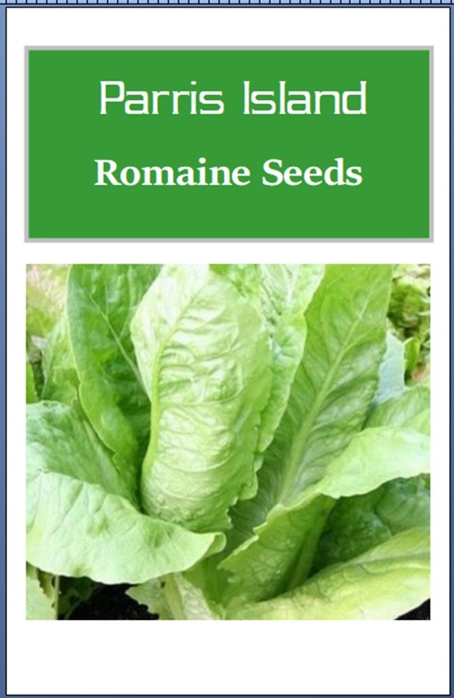 Parris Island Romaine Seeds | NON-GMO | Heirloom | Fresh Garden Seeds