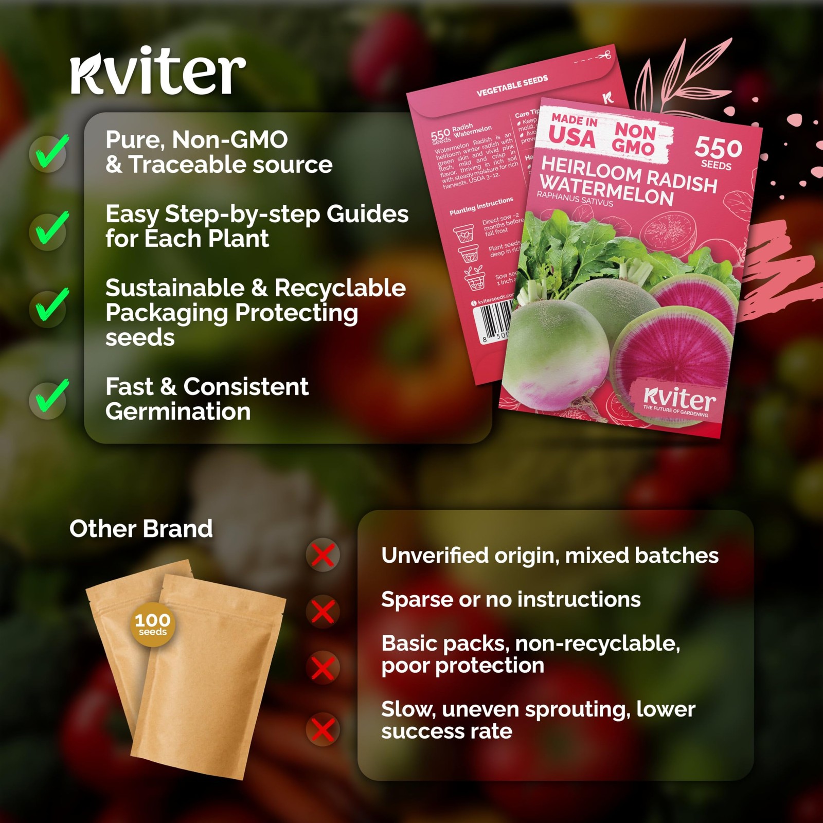 KVITER 550 Watermelon Radish Seeds (Raphanus Sativus)