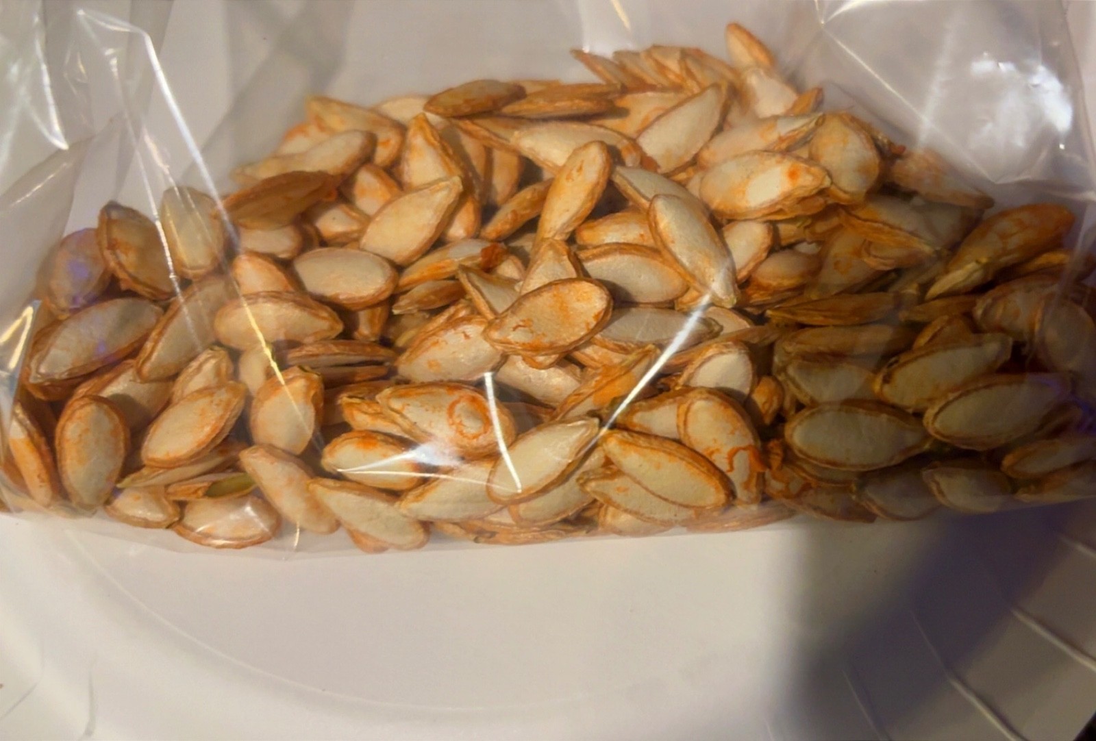 Calabaza seeds (From Fresh pumpkin, 5 count per order)