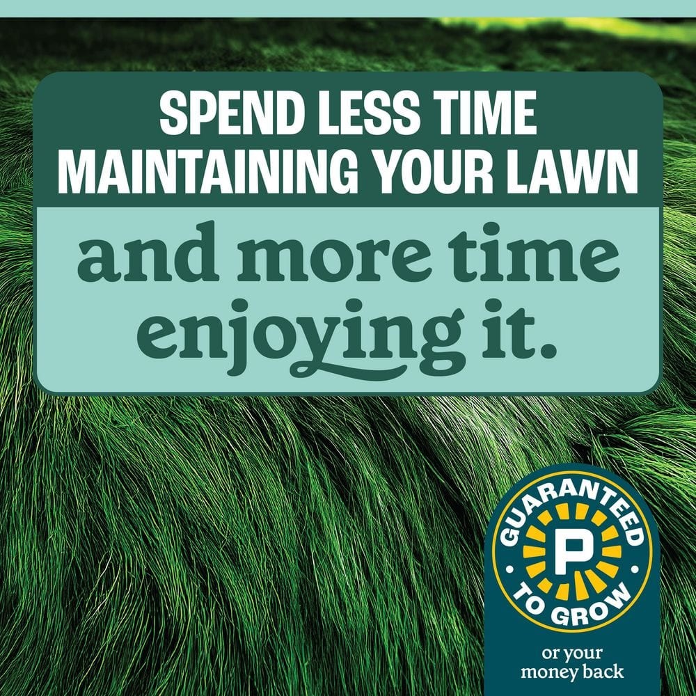 3 lbs. 750 sq. ft. No Mow Grass Seed Mix