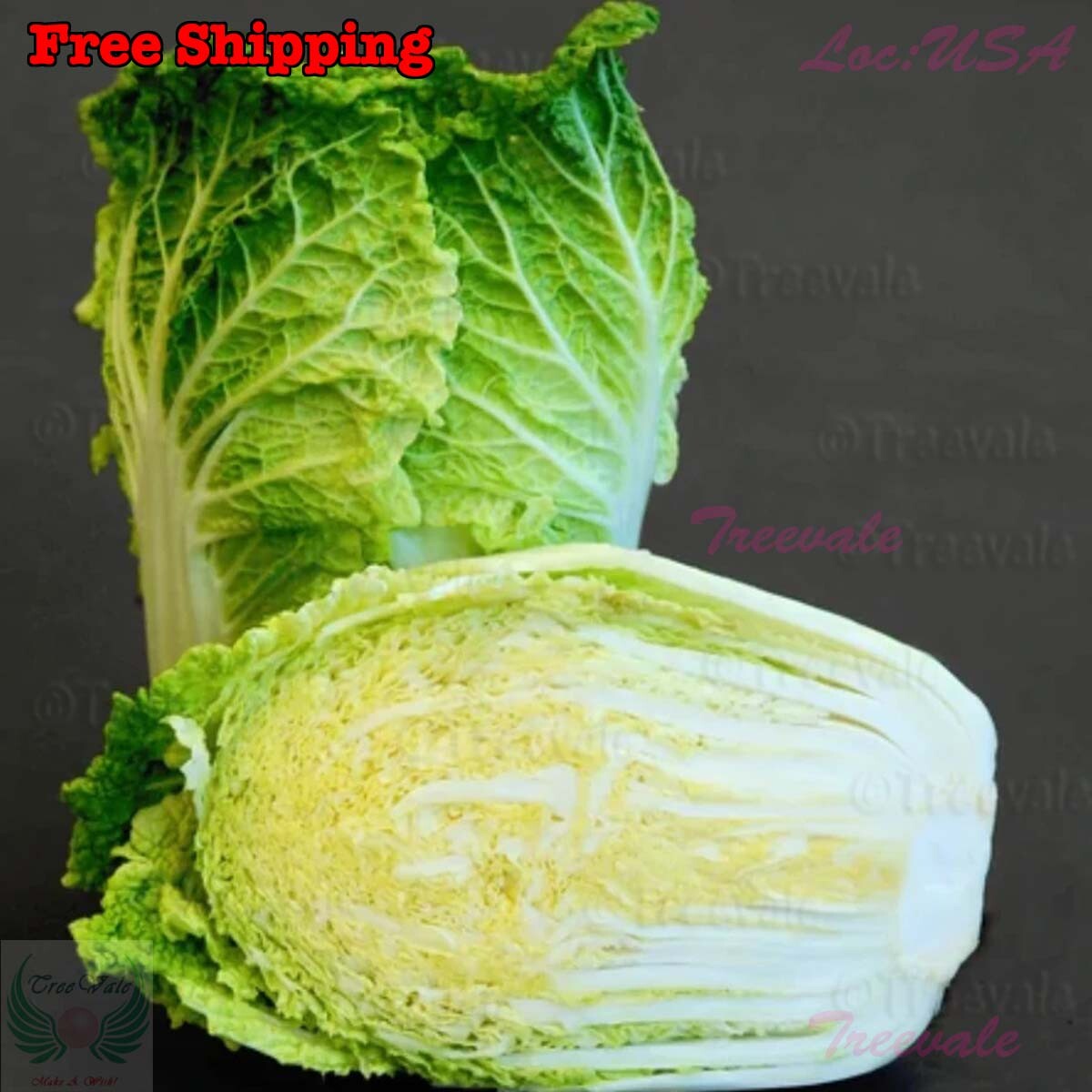 Napa cabbage, Kimchi cabbage, Chinese Cabbage, Dàbáicài seeds | Non-GMO, Organic