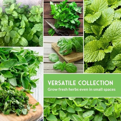 Indoor Herb Seeds Variety Pack | 10 Herbs for Planting – Basil, Mint, Parsley,