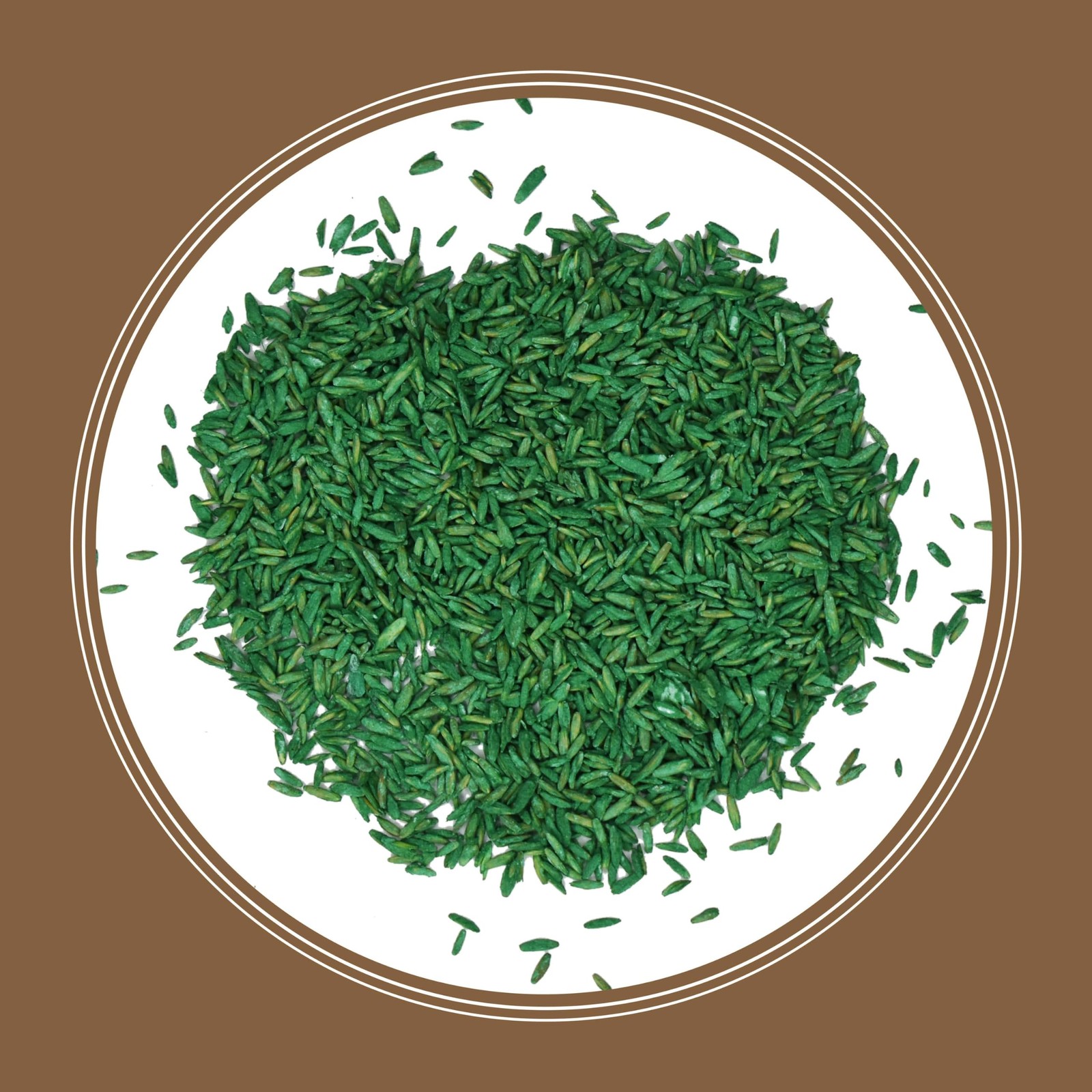 Pennington Bare Spot Repair Grass Seed Mixture Central 1 lb