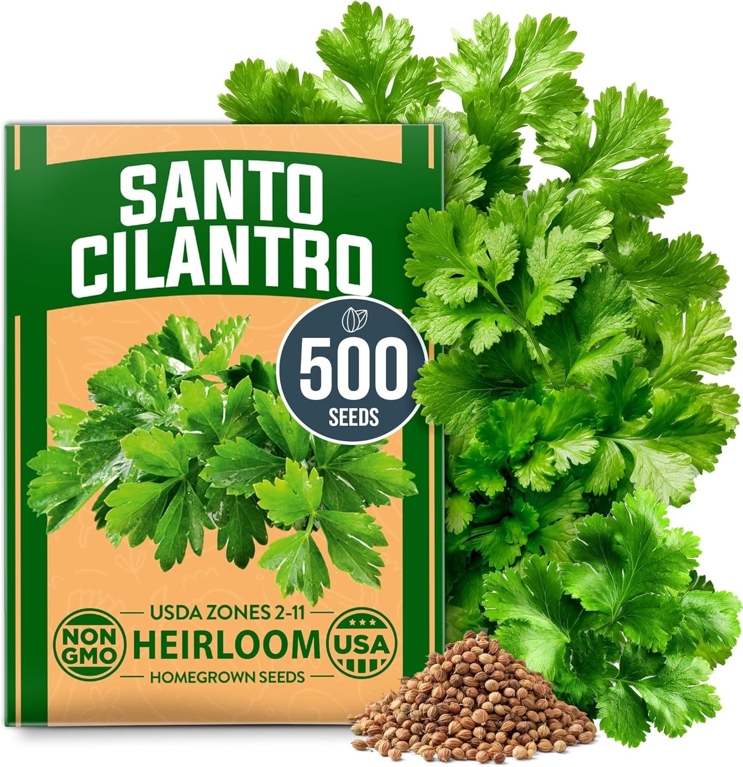 High Yield Cilantro Seeds 500 Heirloom Garden Seeds Perfect for Any Skill Level