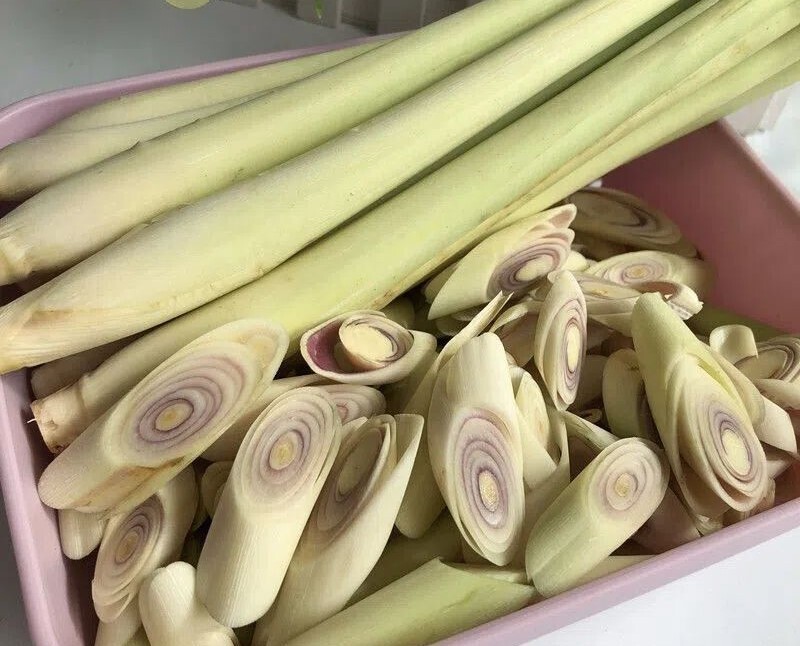 100+Lemongrass Seeds West Indian Culinary Herb perennial plant seeds USA