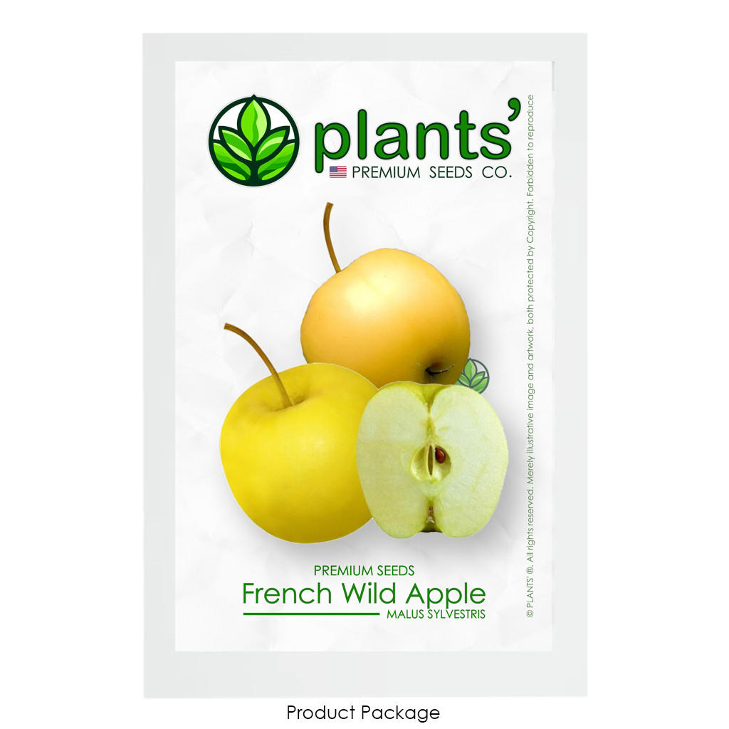 French Wild Apple | Premium Seeds | Malus sylvestris ‘Fruit’ | Plants’®