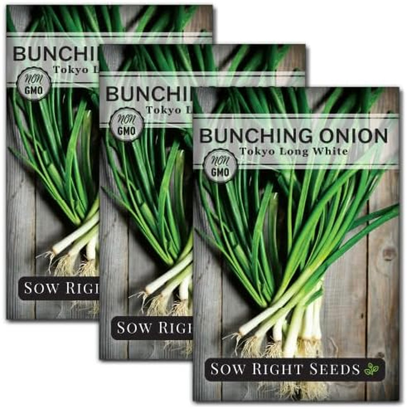– Tokyo Long White Bunching Onion Seeds for Planting – Perfect for Planting Outd