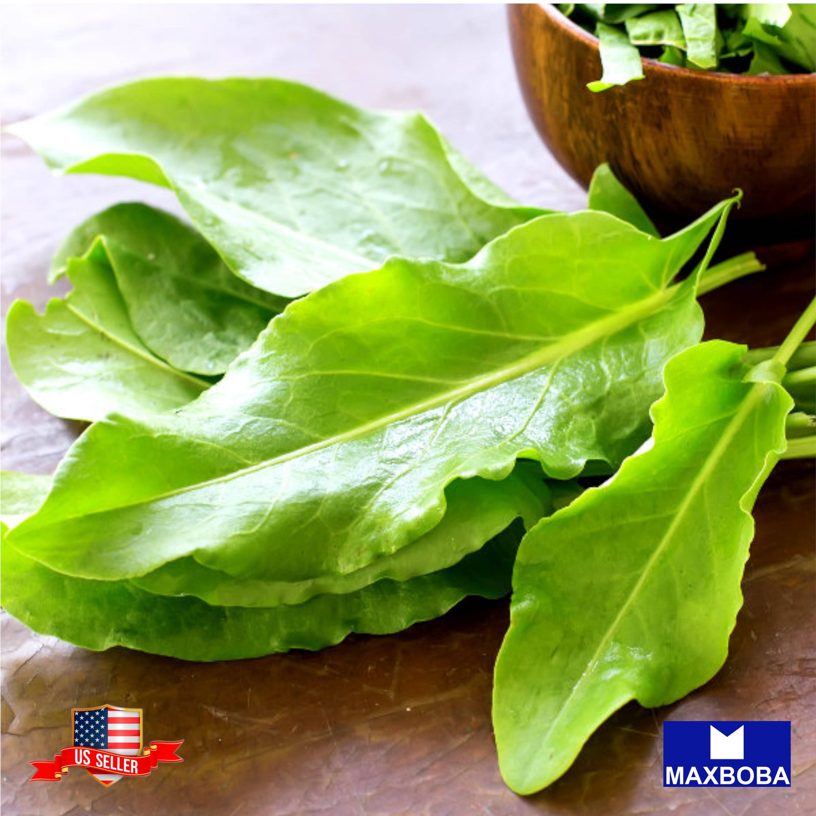 Marjoram Sweet 720 Seeds Large Leaf Sorrel Non-GMO HeirloomBTGO 75% OFF