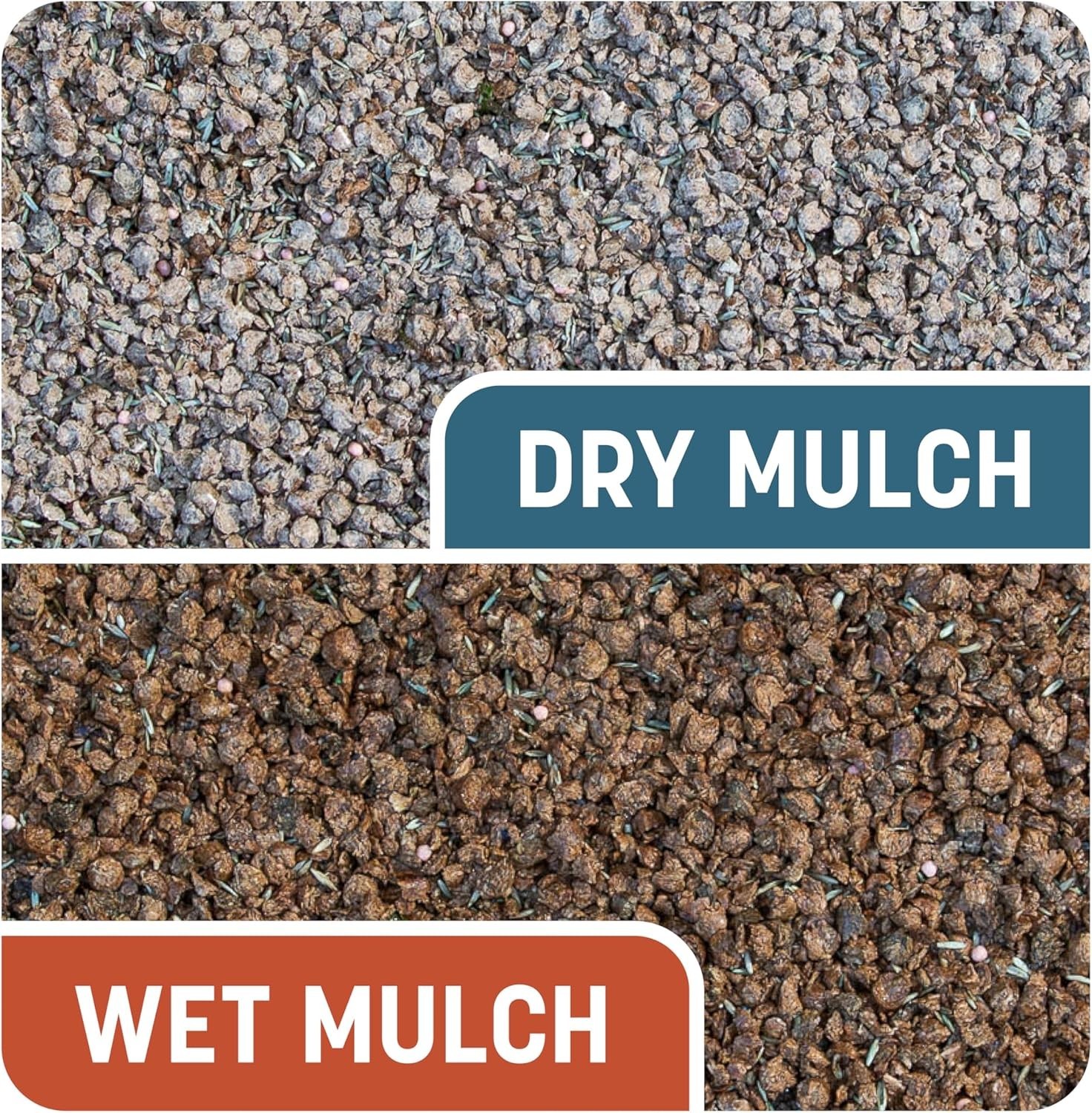 Smart Patch Bermuda Grass Seed, 10 lb – Lawn Repair Kit