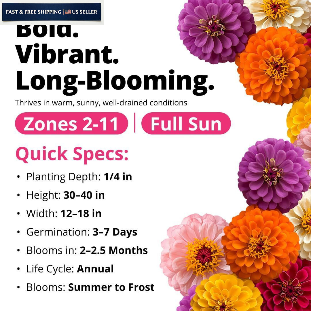 HOME GROWN Zinnia Dahlia Seeds Pack for 2026 Non GMO 524 Flower 1-Pack, Multi