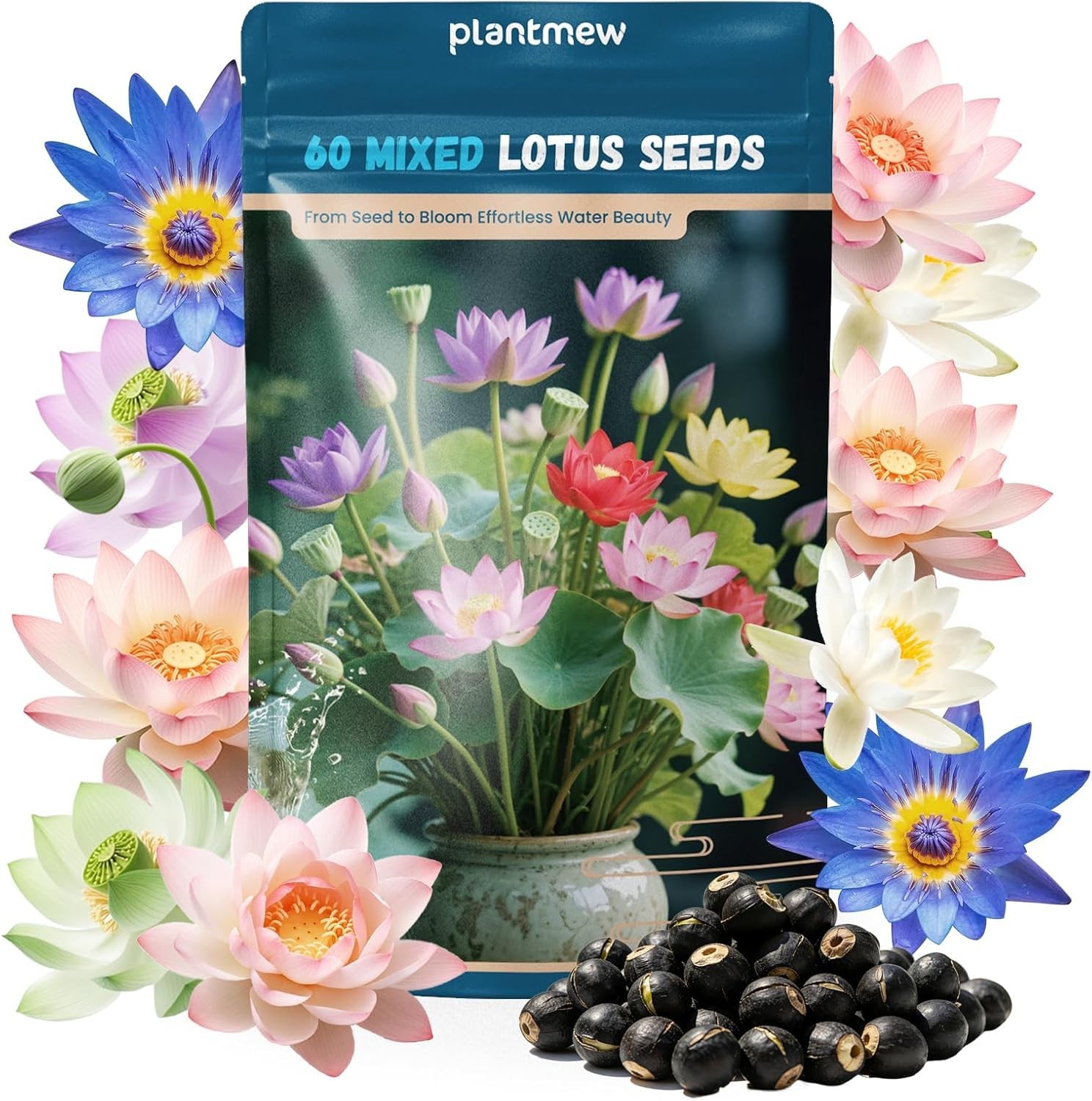 Heirloom Bowl Lotus Seeds – Indoor & Outdoor Mixed Colors for Stunning Gardens