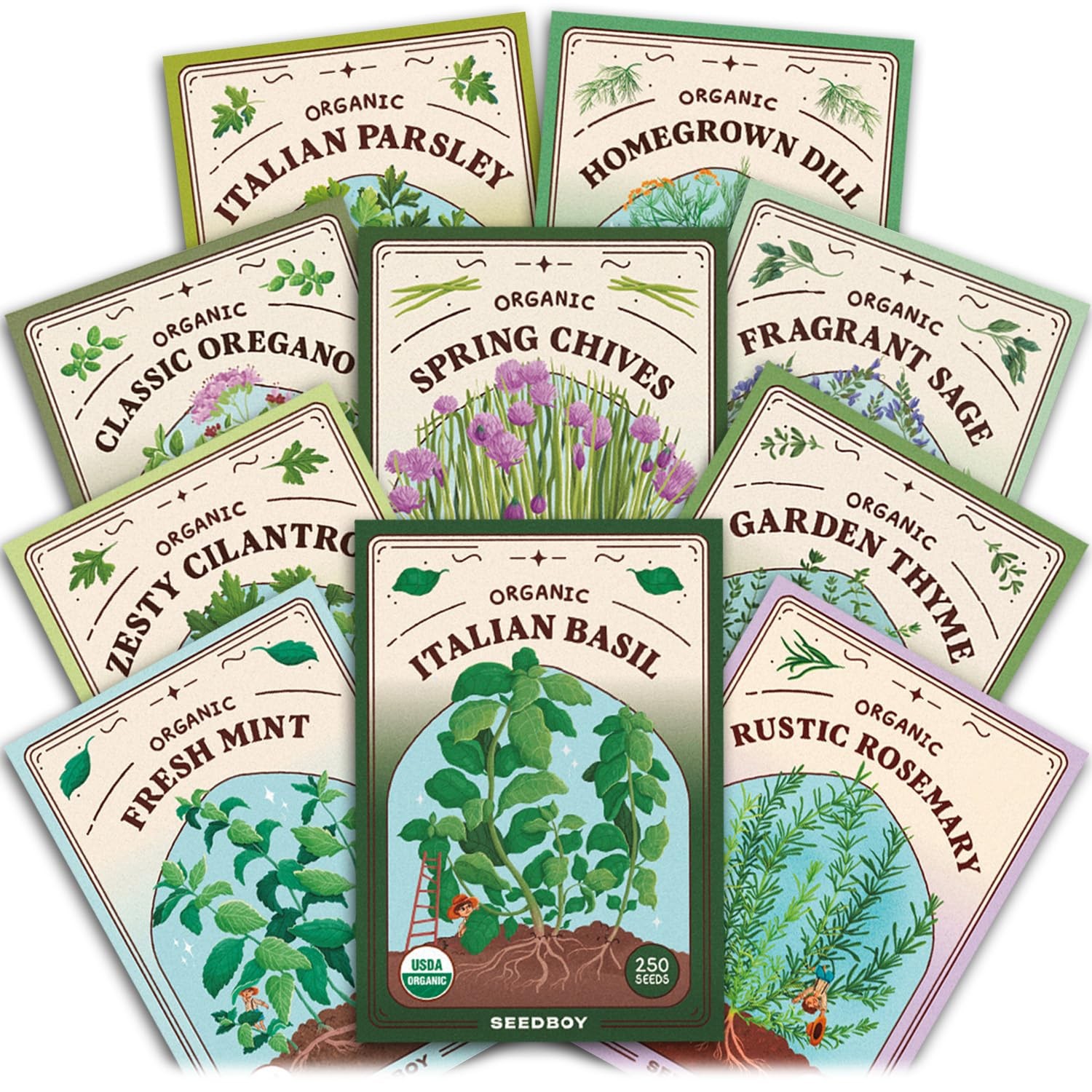 Organic Herb Seeds 10 Variety Pack Basil Mint Parsley Oregano Cilantro Thyme Dil