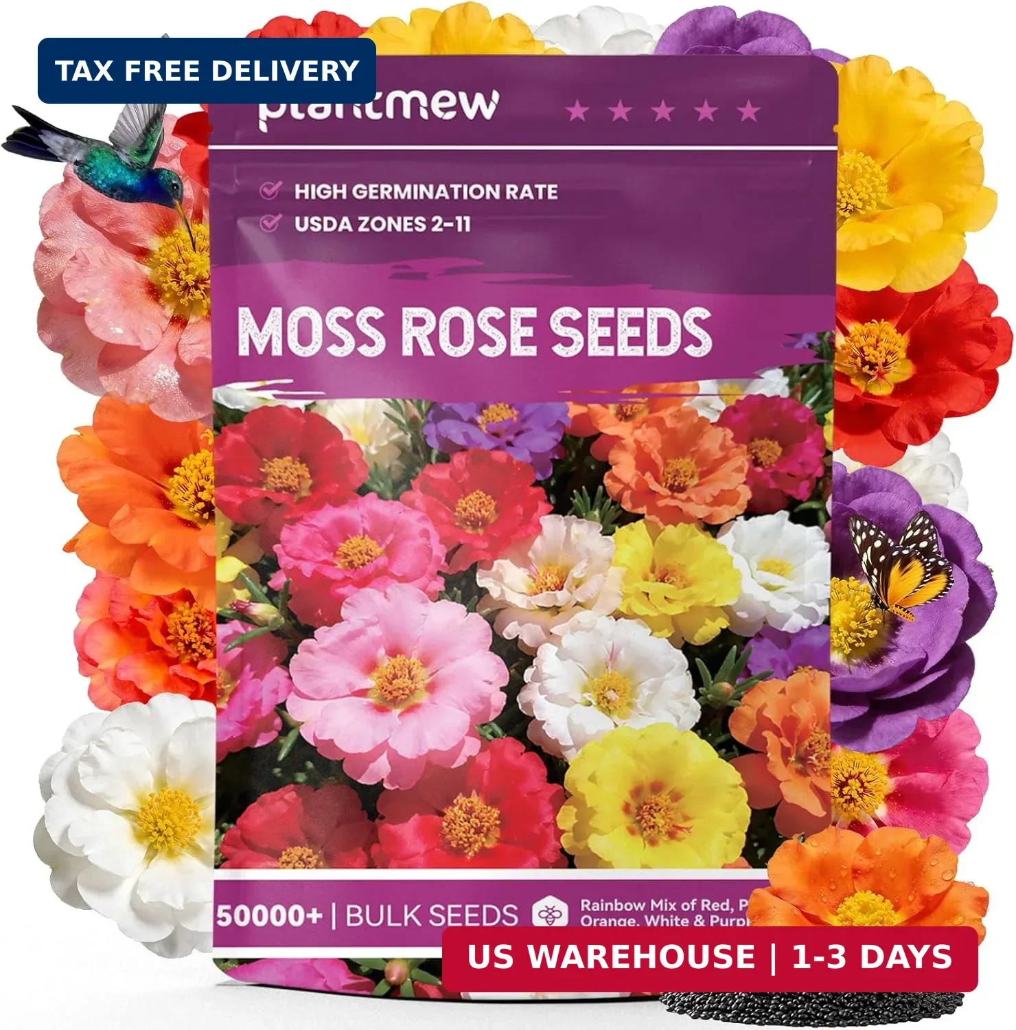 Moss Rose Seeds Bulk Pack – 50,000+ Heirloom Portulaca Seeds for Planting Outdoo