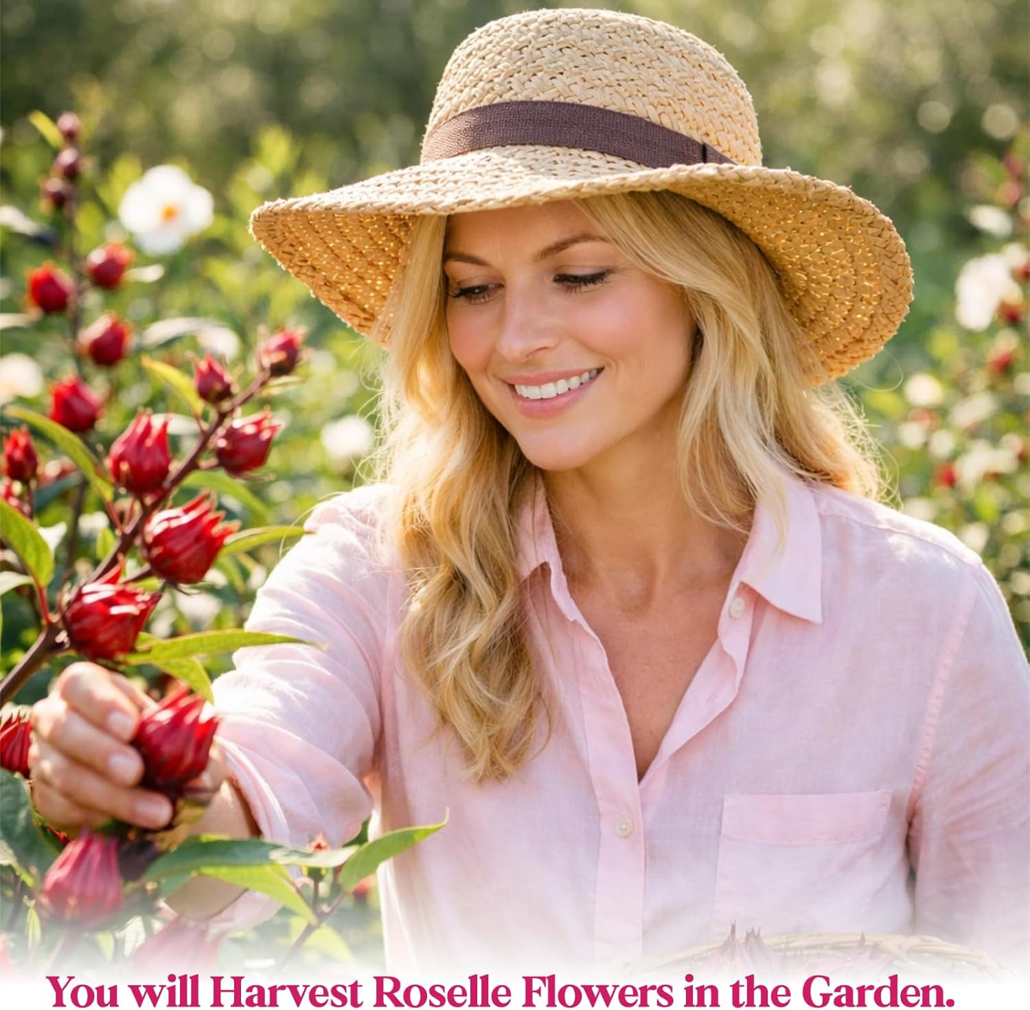 300+ Roselle Seeds for Planting – Hibiscus Sabdariffa, Jamaican Sorrel Seeds Cra