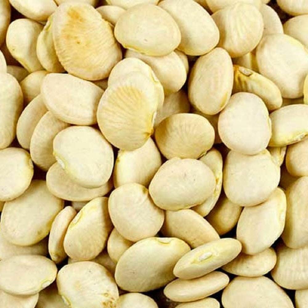 Bean Henderson’s Bush Lima Bean Seeds ,”COOL BEANS N SPROUTS” Brand. Home Garden