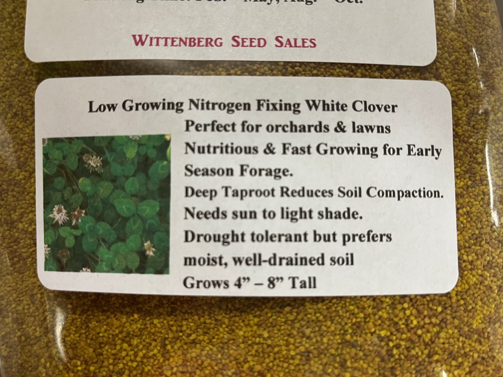 5 lbs Dutch White Clover – Lawns – Deer Food Plot / Wildlife Seed