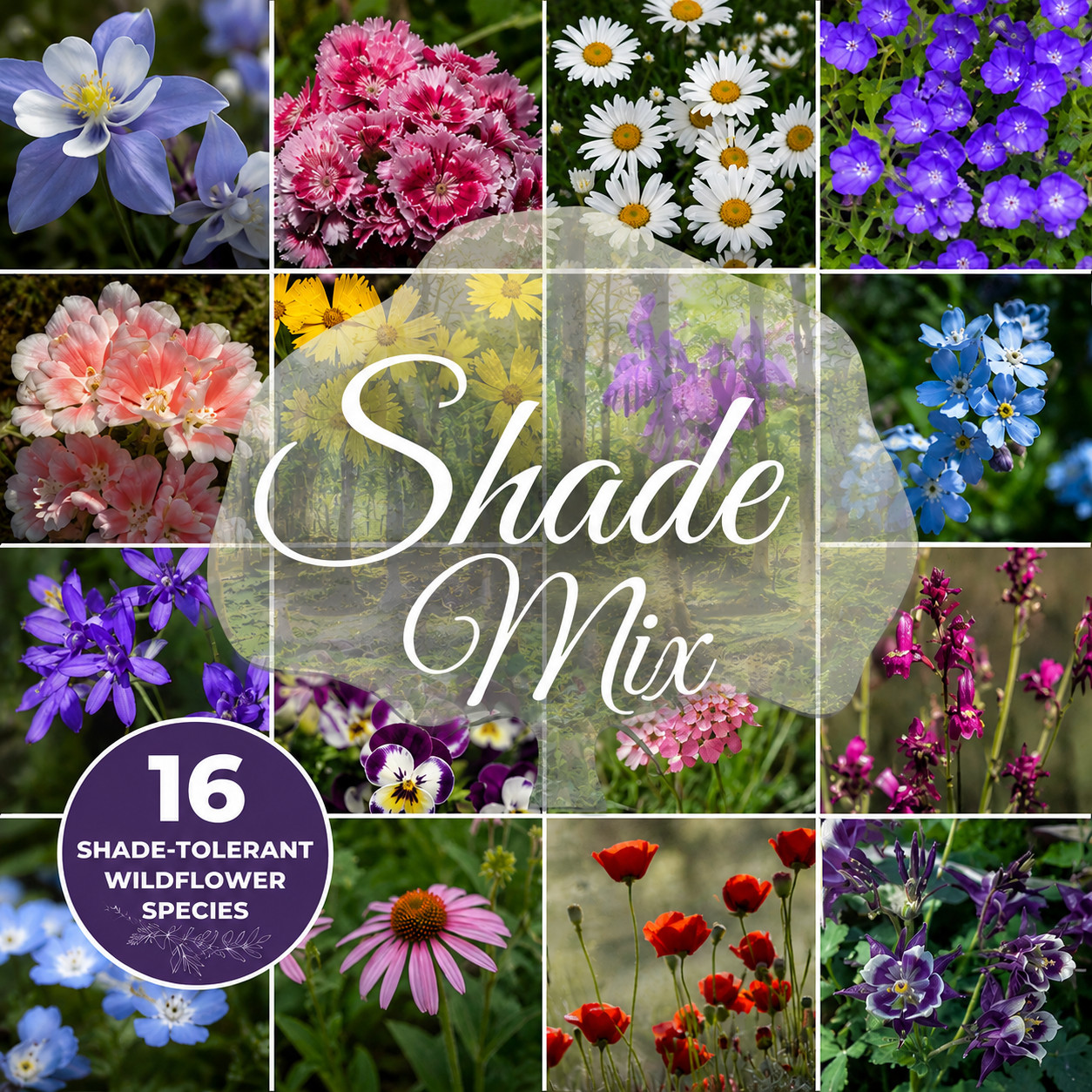 Shade and Woodland Wildflower Mix 1/4 pound covers 800 square feet