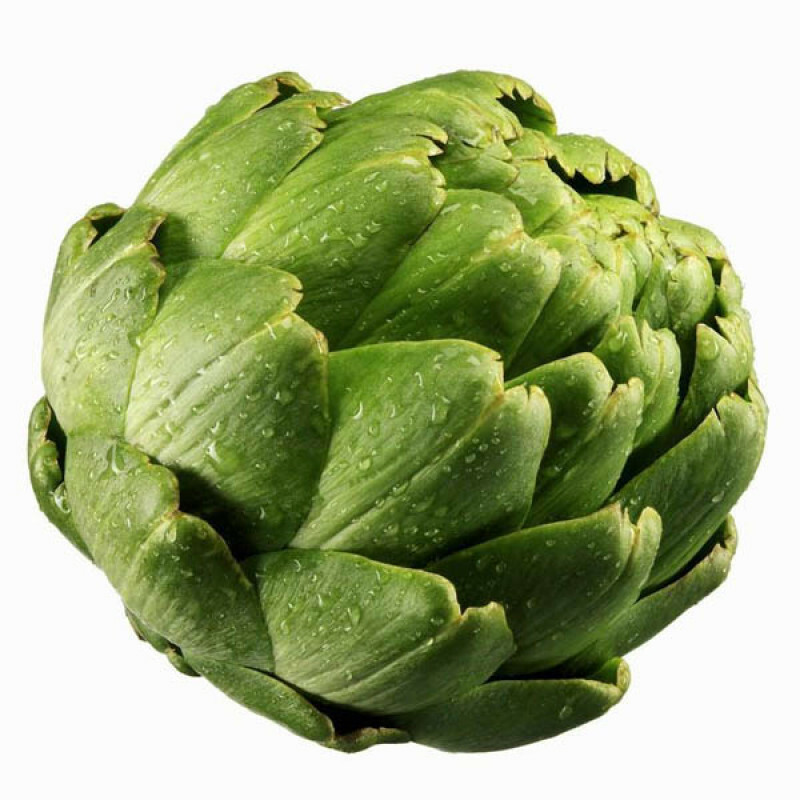 Artichoke Seeds 25 Green Globe Vegetable Garden NON-GMO USA FREE SHIPPING