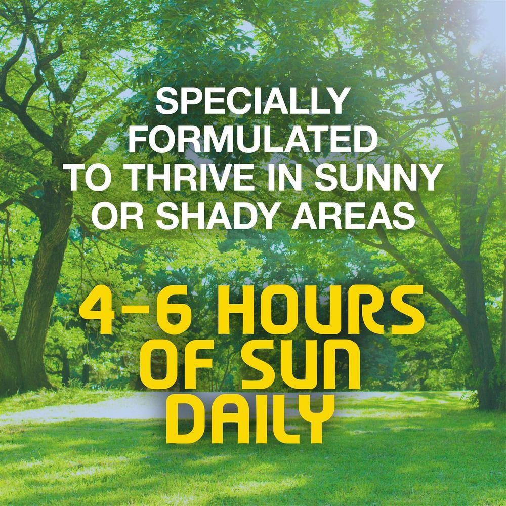 3 Lbs. Sun and Shade Grass Seed Mix