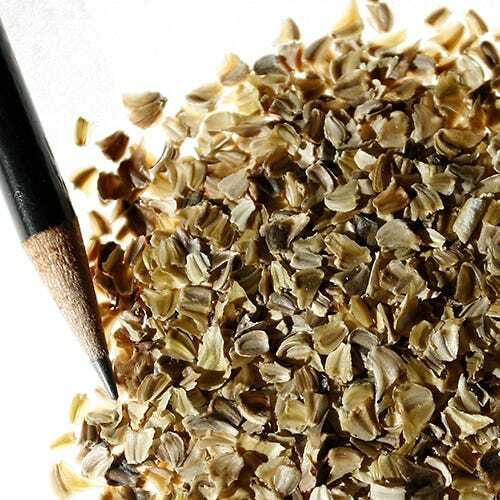 Painted Daisy ROBINSONS GIANT MIX Perennial Huge Cut Flowers Non-GMO 50 Seeds!