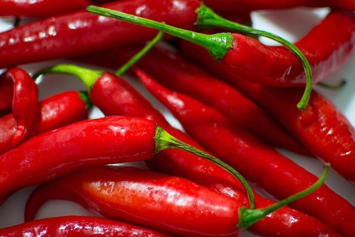 Cayenne Pepper Seeds for Planting, 200 Hot Pepper Seeds Cayenne Jalapeno, Non-Gm