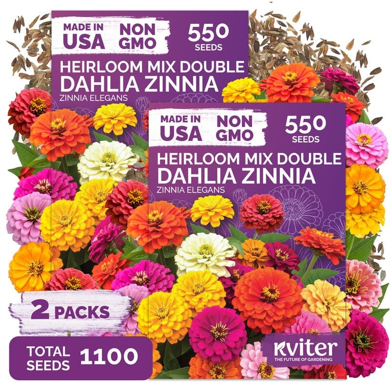 KVITER 1,100 Dahlia Zinnia Mix Seeds (Zinnia Elegans), 2 Pack