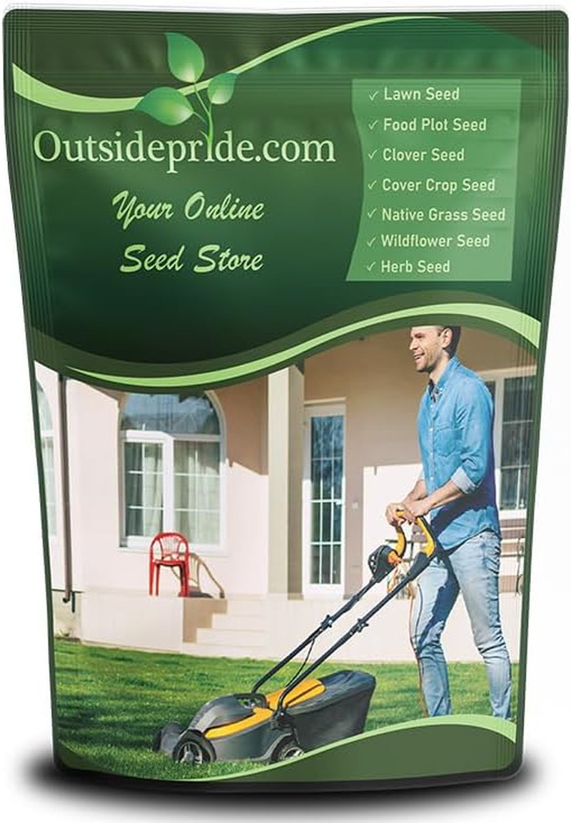 SPF-30 Hybrid Bluegrass Seeds – 5 Lbs. Heat & Drought Tolerant, Texas Bluegrass