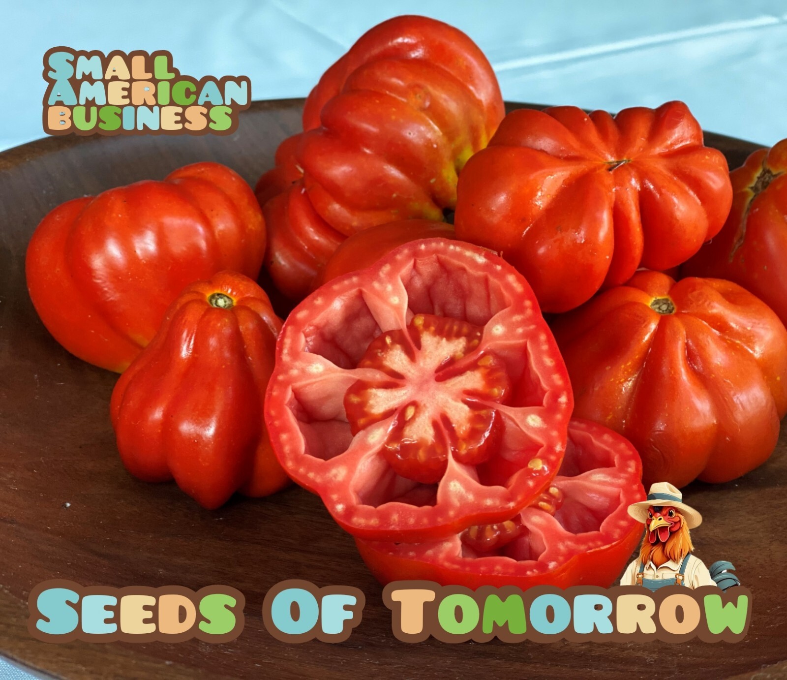 45 ORGANIC Non-GMO CEASAR’S CANESTRINO DI LUCCA TOMATO SEEDS- SEEDS OF TOMORROW