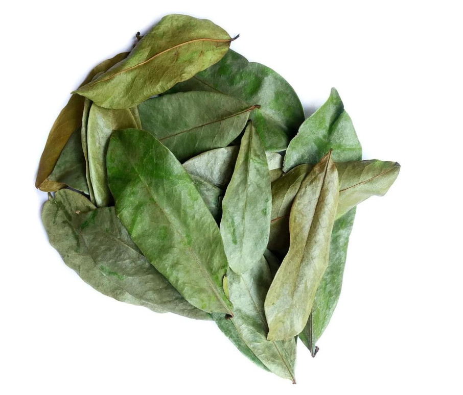 2 oz Soursop Leaves for Tea Lovers, Dried Graviola Leaves, Annona Muricata Leave