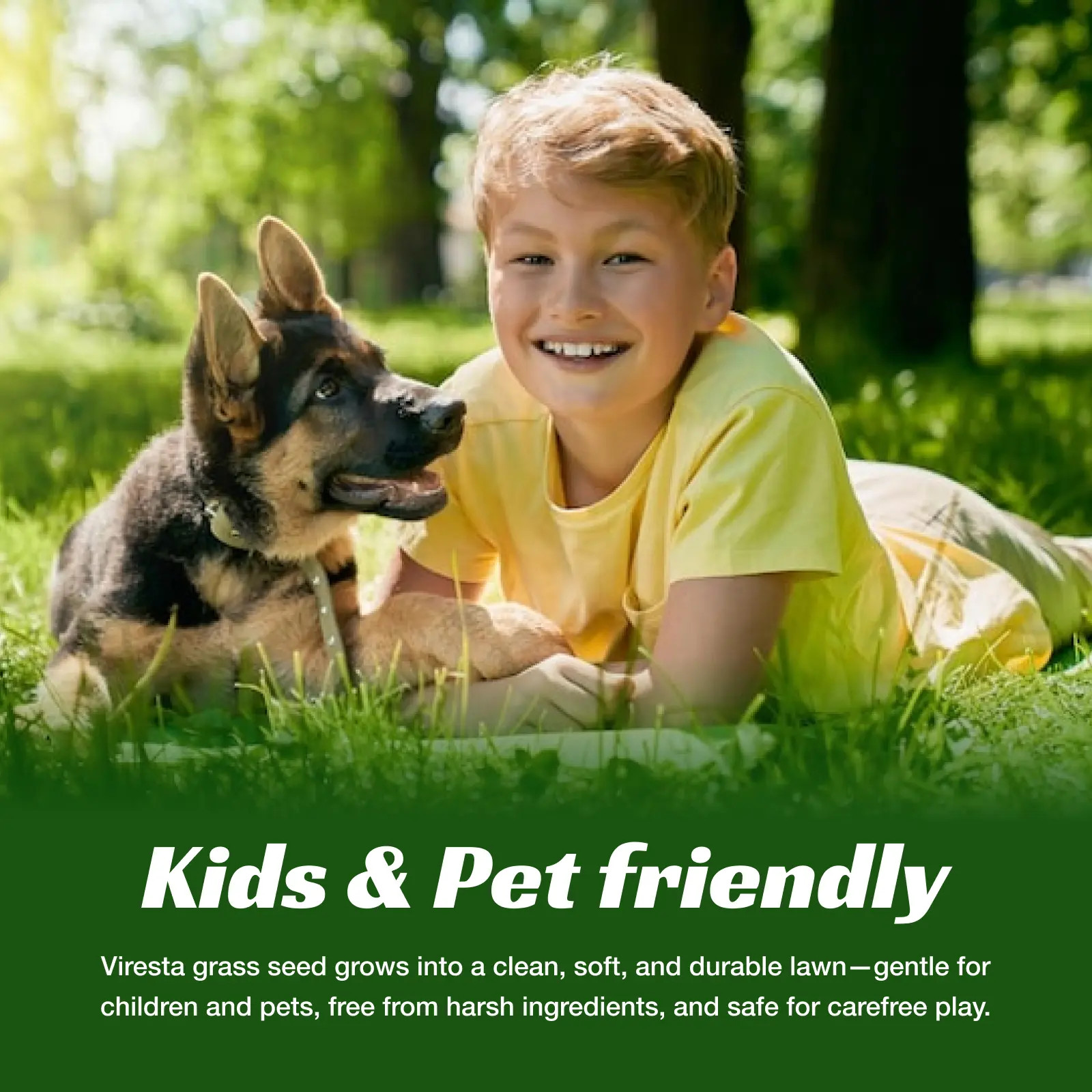 Grass Seed and Shade Grass, Grows Quickly and Withstands All Seasons, Perfect fo